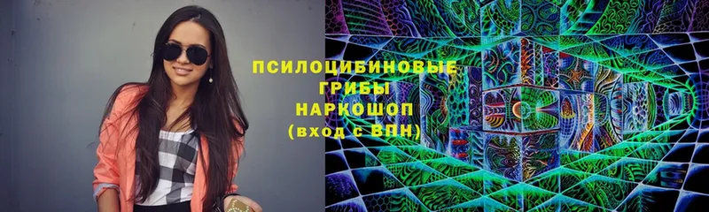 Галлюциногенные грибы Cubensis Мантурово